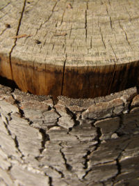 Holz - der tägliche Begleiter bei der Arbeit